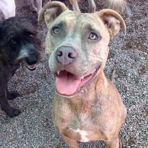 Meet your Posher, Earlyn